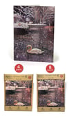 'Swan Lake' Card Pack