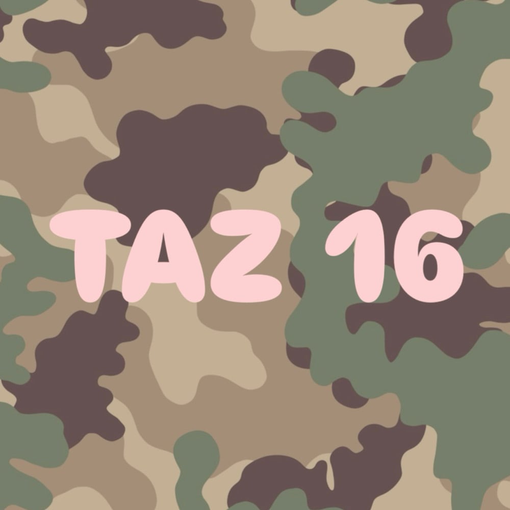 Image of taz 16 adhesive stencil