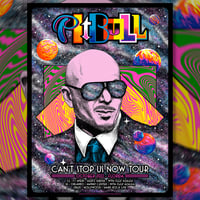 Image 1 of Pitbull 2022 Florida Tour poster