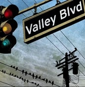 Image of VARIOUS ARTISTS Valley Blvd LP