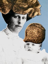 Image 2 of Kindred. 1