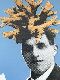 Image 3 of Kindred. 1
