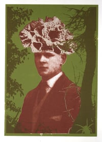 Image 1 of Kindred.2