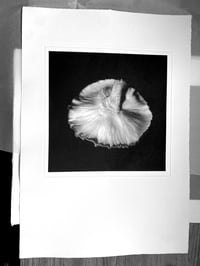 Image 2 of Mutable