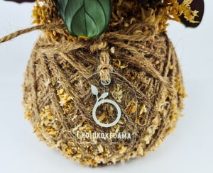 Image of Ctenanthe Amagris Kokedama