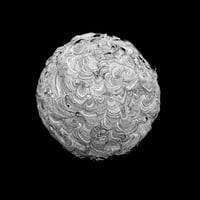 Image 1 of Utopia