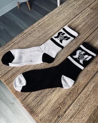 Image 1 of SC Socks