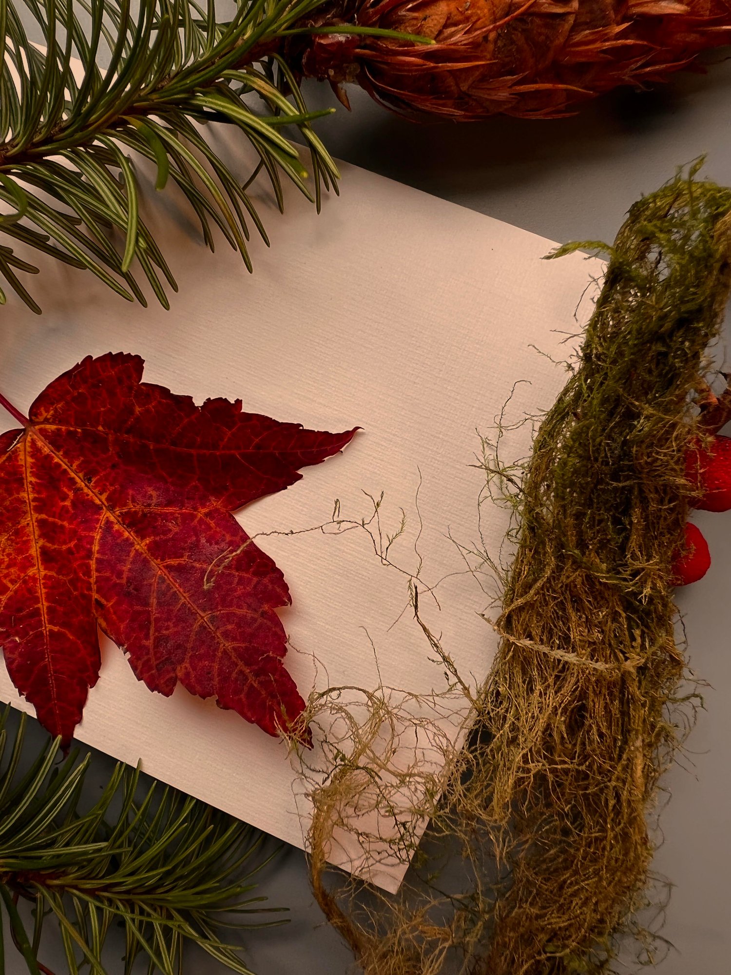 Image of "Thought Form Descent" Card