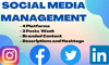 Social Media Management 