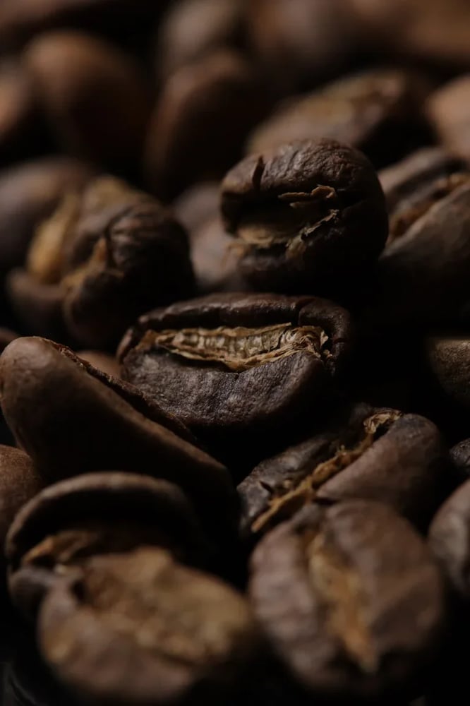Image of GUATEMALA | BOSQUES DE SAN FRANCISCO | 250g