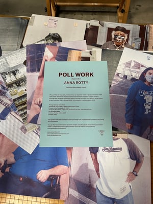 Image of Poll Work by Anna Rotty