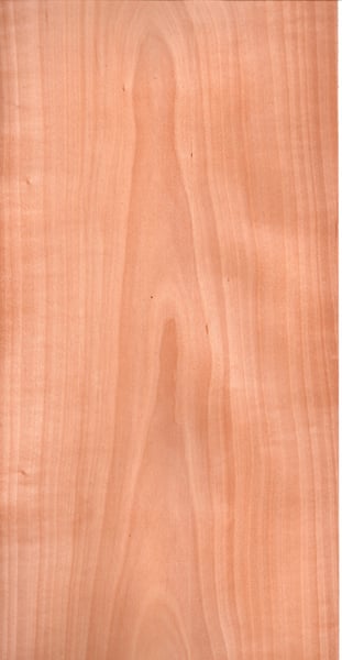 Image of Ash (Striped) (7)