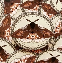 Image 1 of ONLY ONE LEFT! Brown Doily Moth Vinyl Sticker