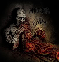 Anatomia / Ruin Split Lp