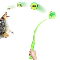 REF 05 :  Pet Throwing Toy ball (dogs,cats)