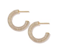 Image 1 of Ari Earrings