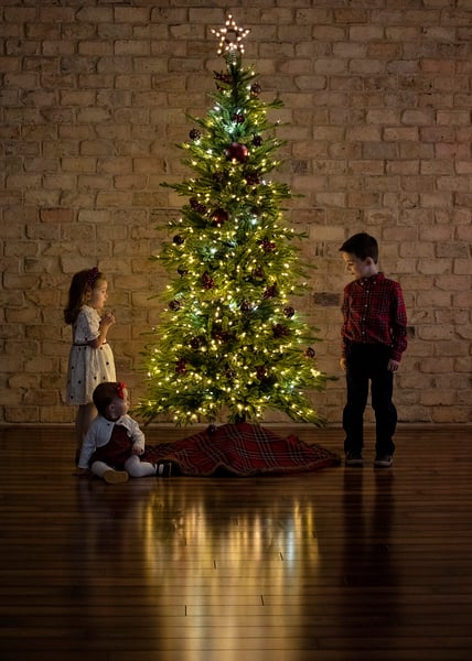 Image of O Christmas Tree Mini Session 