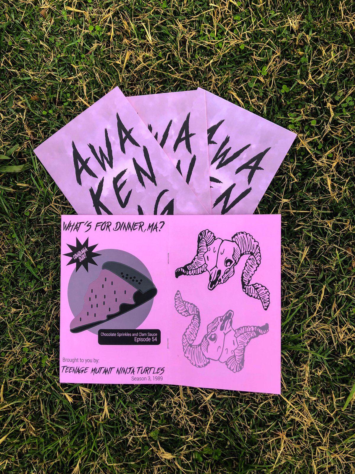 Awakening Zine