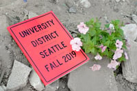 University District, Seattle | Fall 2019