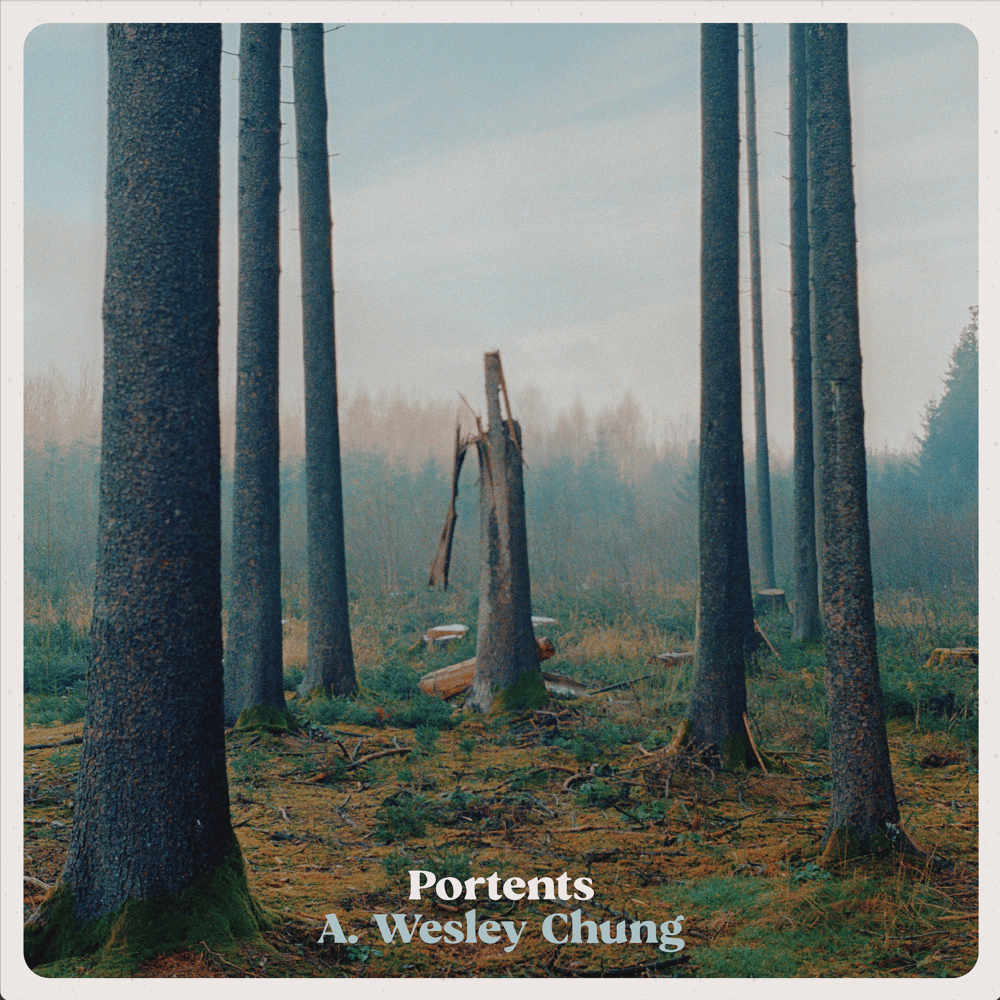 Image of STORM041 - A. Wesley Chung - Portents - LP