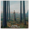 STORM041 - A. Wesley Chung - Portents - LP