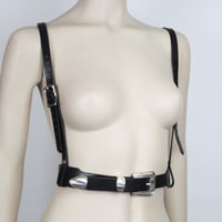 Image 1 of Multi-Way Harness with Mixed Metal Three-Piece Buckle Set