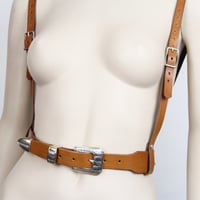 Image 2 of Multi-Way Harness with Mixed Metal Three-Piece Buckle Set