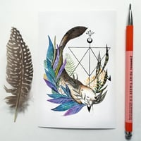 Image 2 of Animal Oracle: The 5 Animals