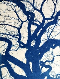Image 3 of Cyanotype "Hiver"