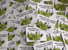 Sex Forest Stickers - Preorder