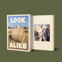 Look Alike vol.2 