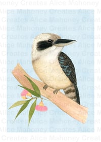 Image 2 of Kookaburra