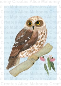 Image 2 of Boobook Owl 
