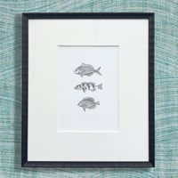Image 1 of 3 Fish #1  Giclee print