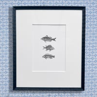 Image 1 of 3 Fish #2 Fine Art Giclee print