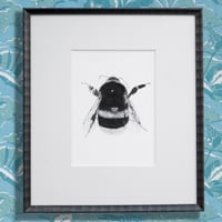Image 1 of Bumblebee #1 Giclee print