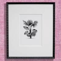 Image 1 of Palm #1 Giclee Print