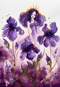 Image 1 of Print - Iris