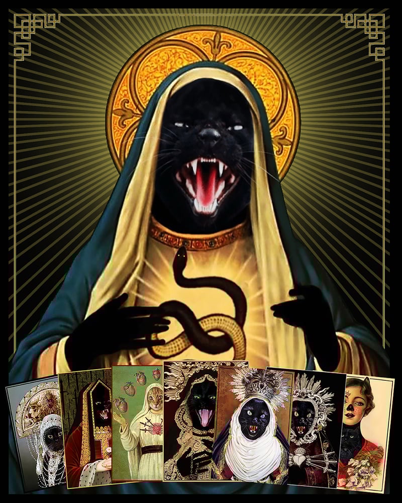 Image of HOLY CATS -postcards set-
