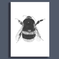 Image 3 of Bumblebee #1 Giclee print