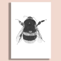 Image 2 of Bumblebee #1 Giclee print