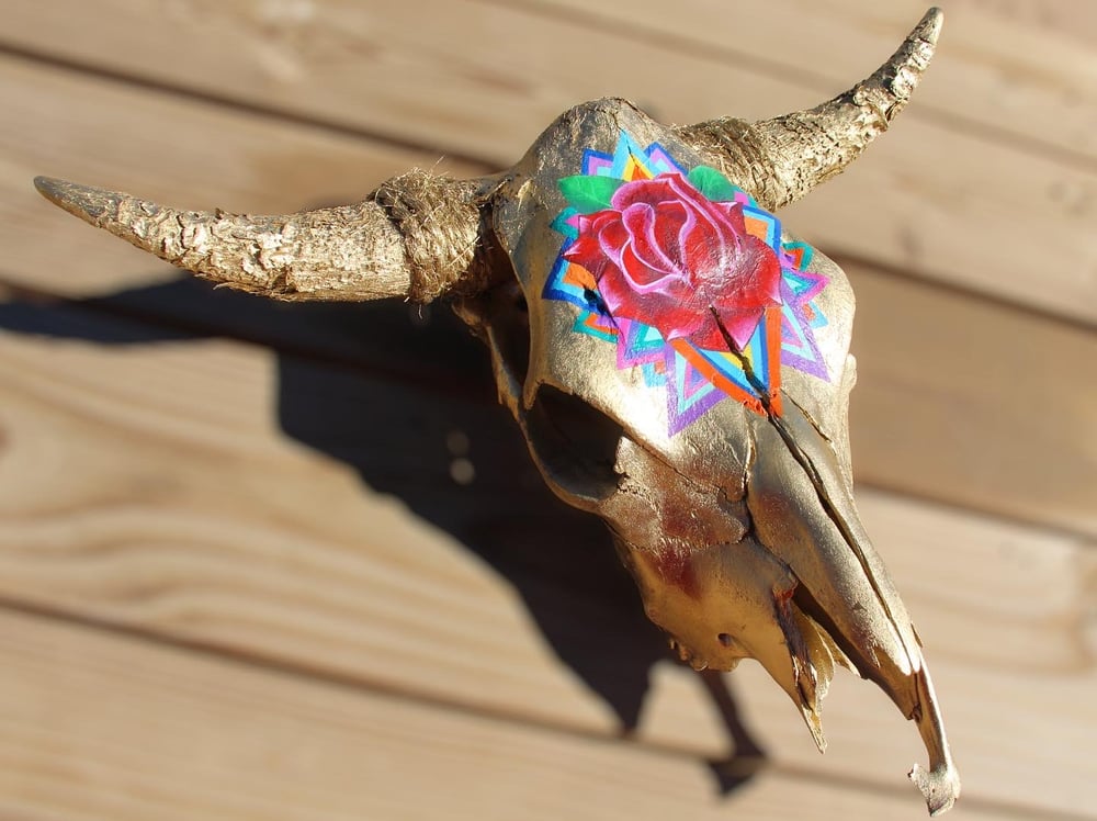 Hand Painted Cow Skull