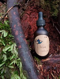 Blue Lotus Tincture