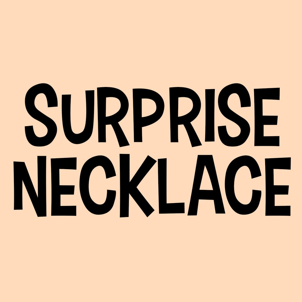 Image of $10 Surprise Necklace