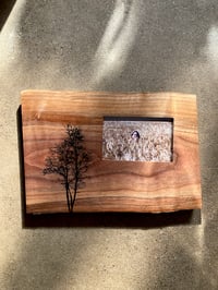 Image of Slab Frame with Birch Tree