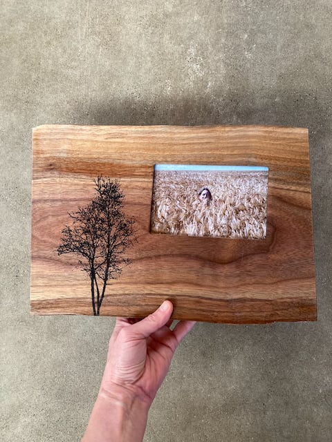 Image of Slab Frame with Birch Tree