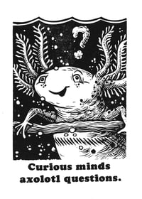 Axolotl Questions Print
