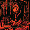 ANAL  VOMIT - Demoniac Flagellations CD 