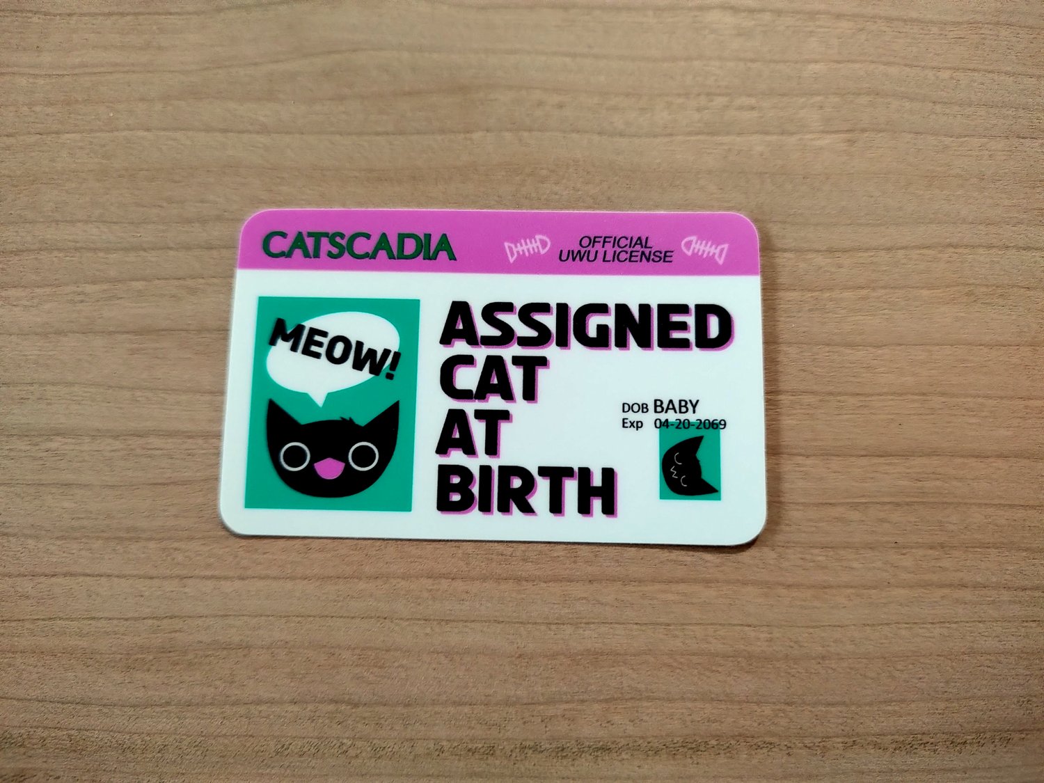 Assigned Cat at Birth Sticker