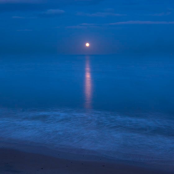 Image of Moonrise #3 - Whitley Bay